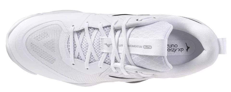 Zapatos de interior Mizuno Wave Momentum Elite