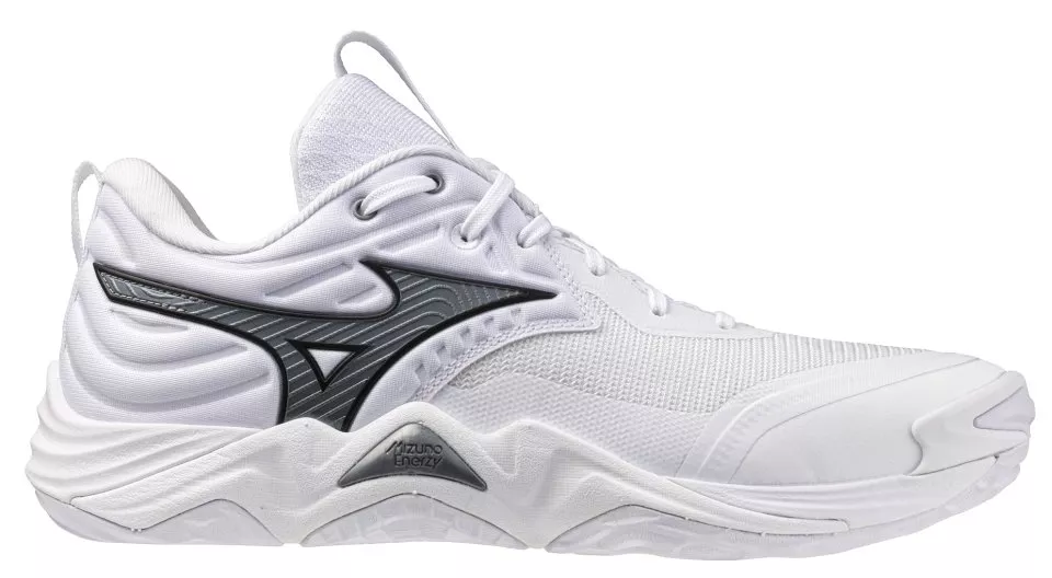 Zapatos de interior Mizuno Wave Momentum Elite