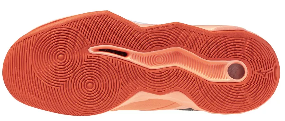 Buty indoorowe Mizuno Wave Momentum Pro
