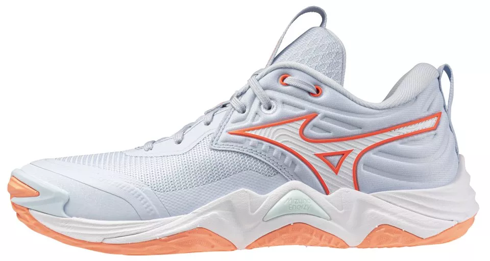 Zapatos de interior Mizuno Wave Momentum Elite