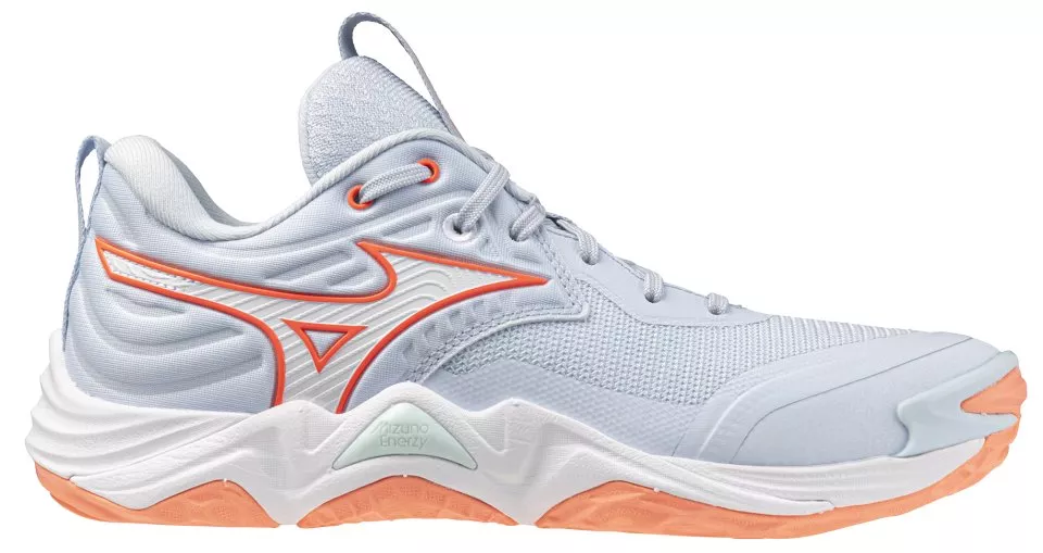 Zapatos de interior Mizuno Wave Momentum Elite