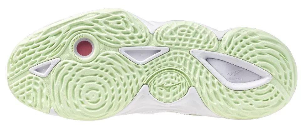 Zapatos de interior Mizuno Wave Momentum Elite
