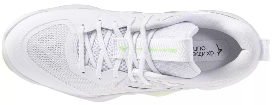Zapatos de interior Mizuno Wave Momentum Elite