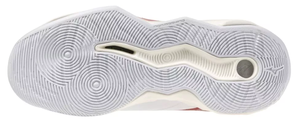 Вътрешни обувки Mizuno Wave Momentum Pro