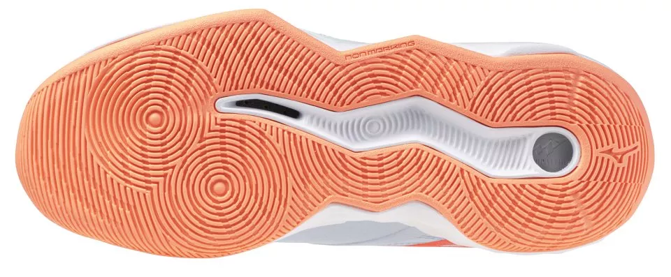 Zapatos de interior Mizuno Wave Momentum Pro