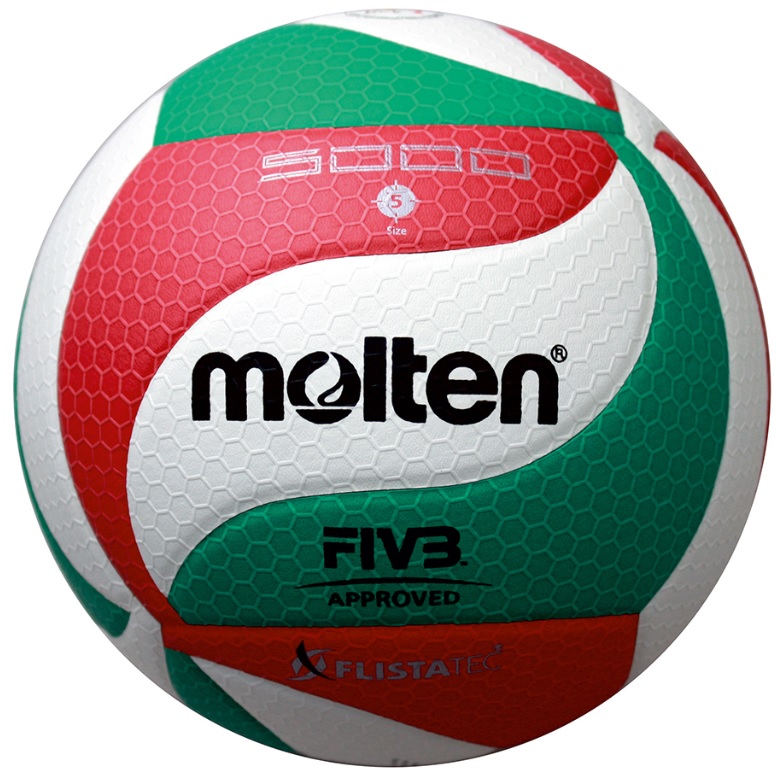 Žoga Molten V5M5000-DE VOLLEYBALL