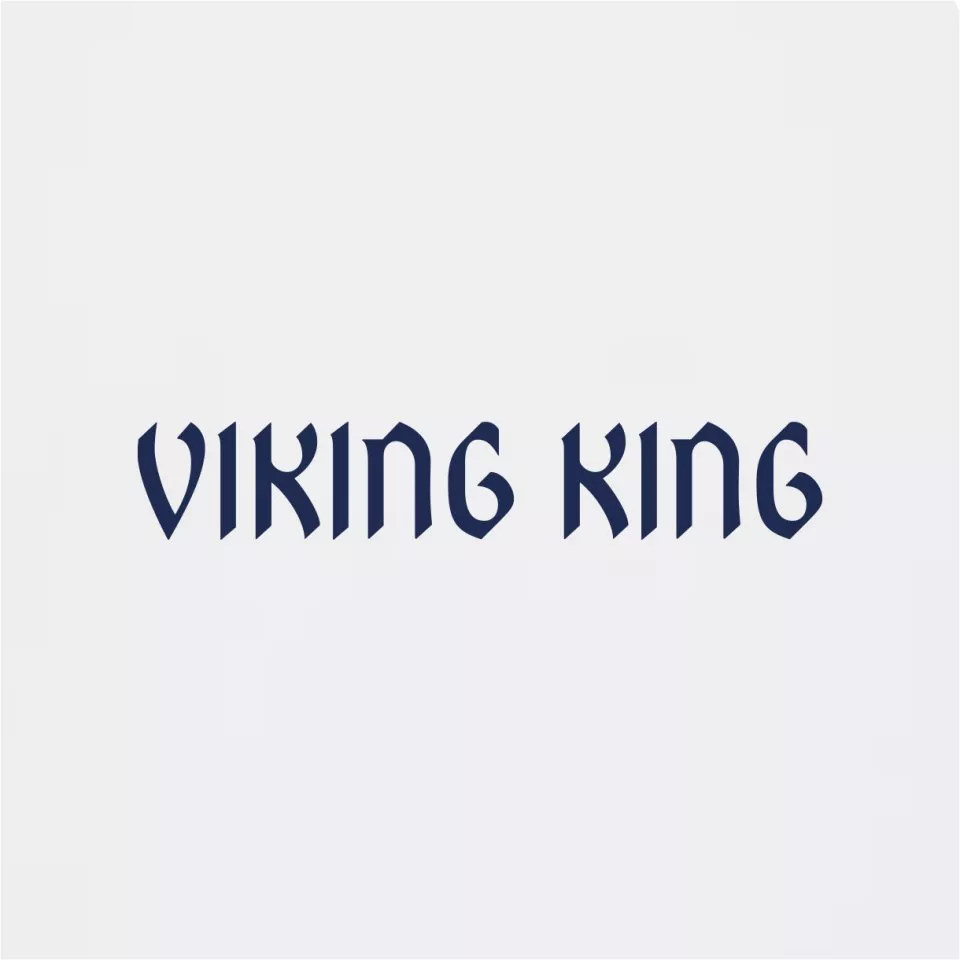 Pánske tričko s krátkym rukávom 11teamsports "VIKING KING" World Cup 2026