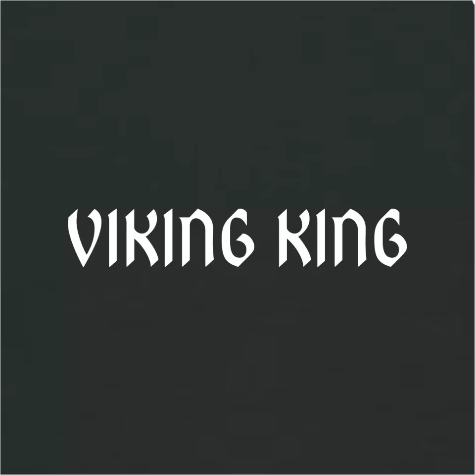 Męska koszulka z krótkim rękawem 11teamsports "VIKING KING" World Cup 2026