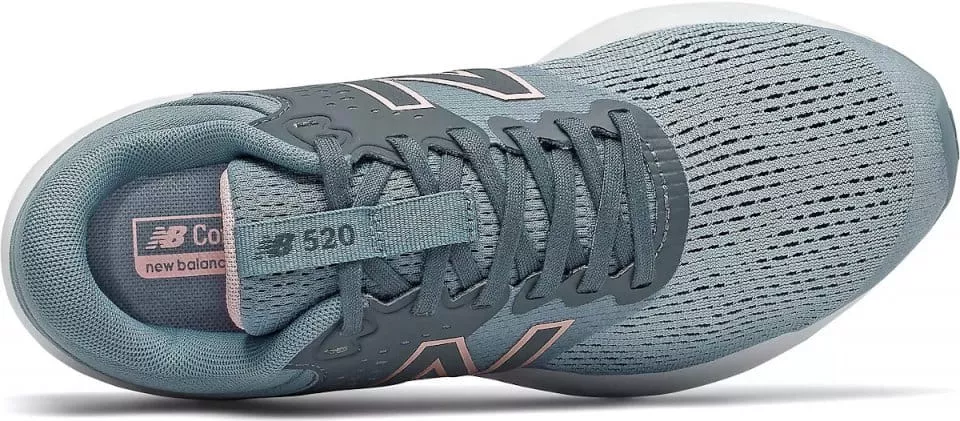 Schuhe New Balance W520