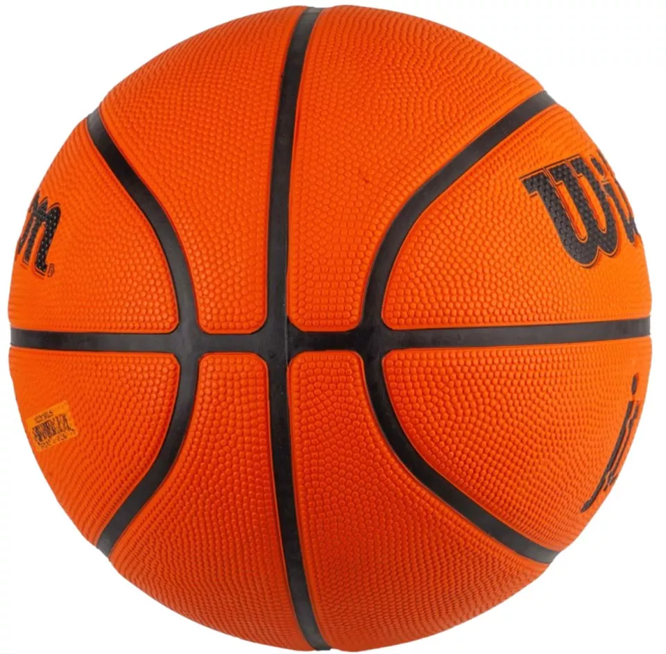 Minge Wilson NBA WNBA Drv Training Ball Kids