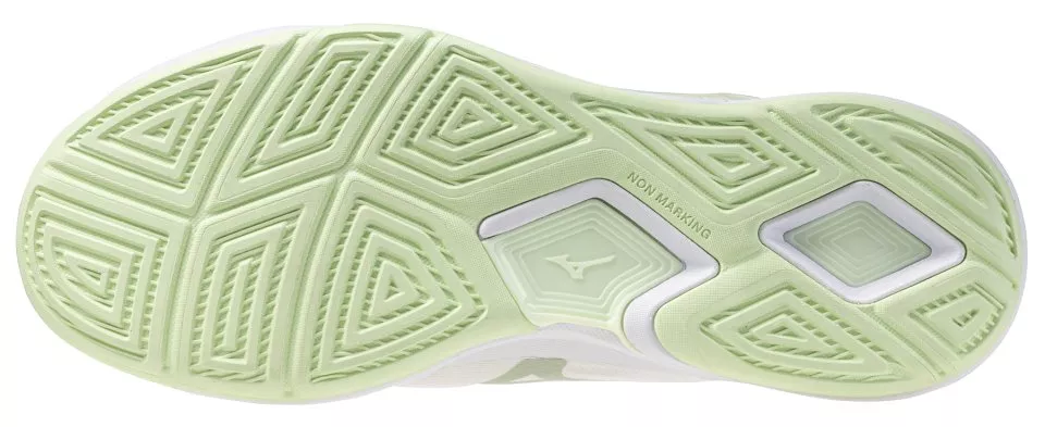 Dvoranske tenisice Mizuno Wave Stealth Elite Shoe Women